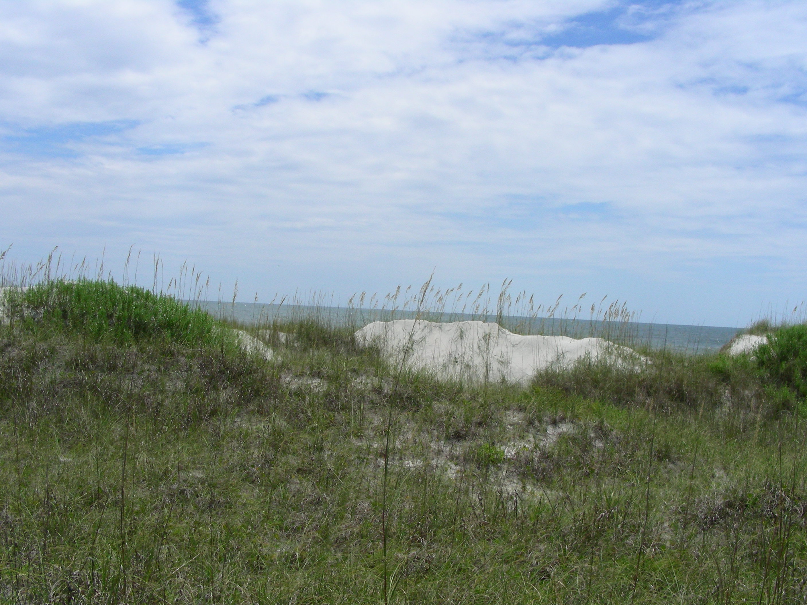 ./2014/Bear Island RSS/DSCN9279.JPG